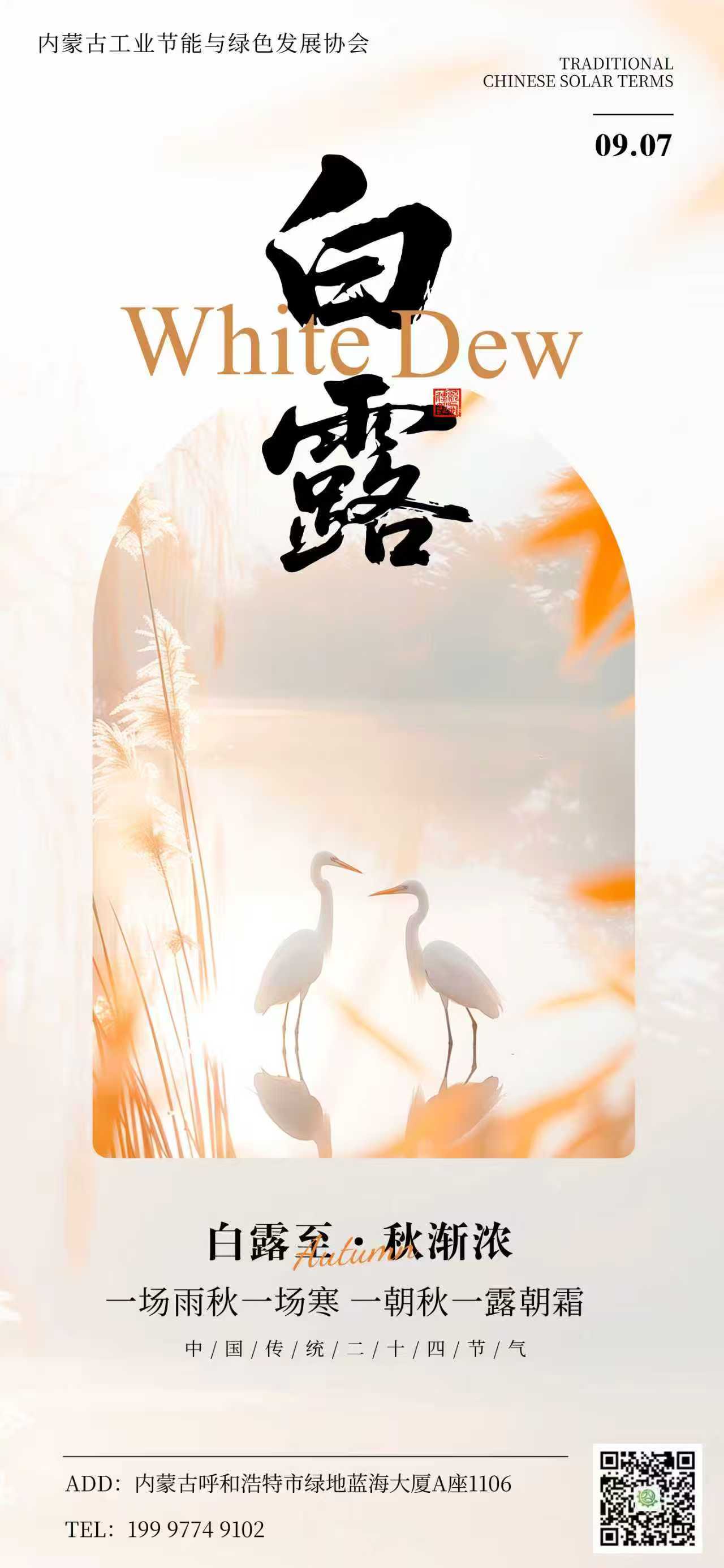白露竖着.jpg
